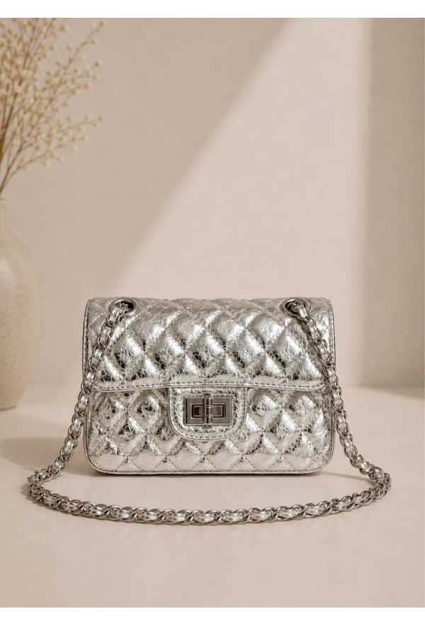 Τσάντα Mini shoulder Silver