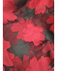 Φουλάρι/Πασμίνα Red Flower